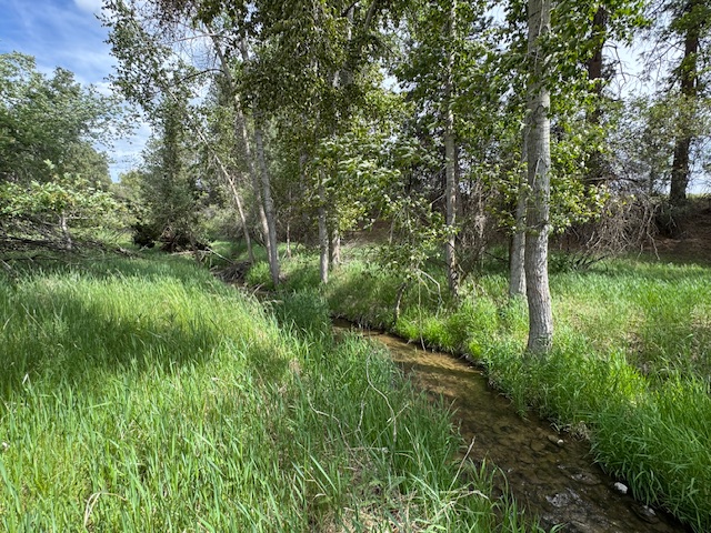 2858 Pheasant Lane