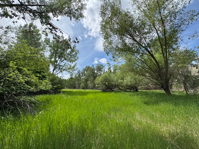 2858 Pheasant Lane