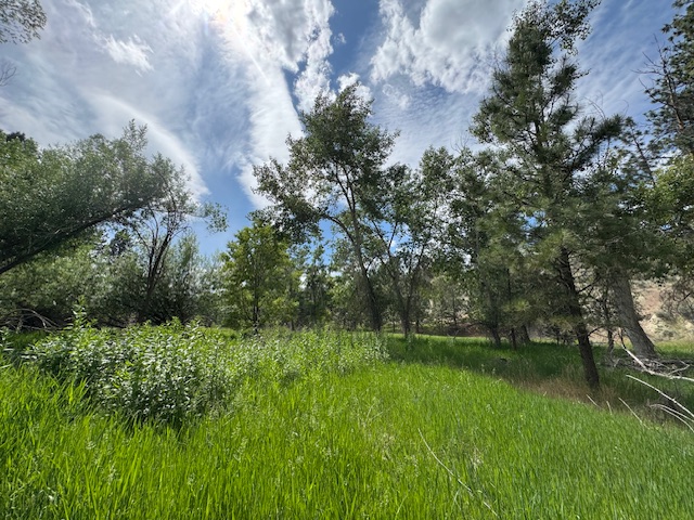 2858 Pheasant Lane
