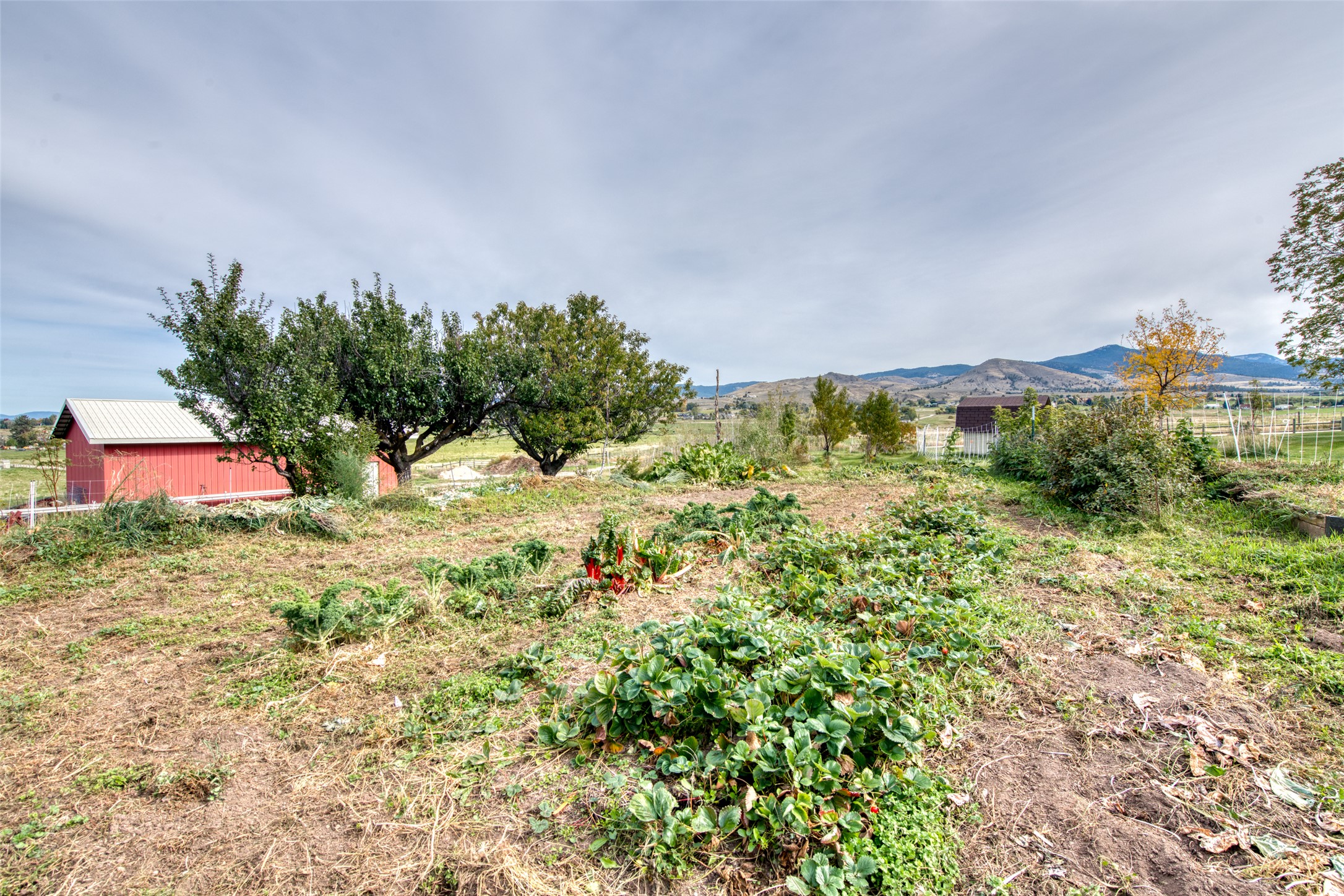 1435 & 1499 Holloran Lane