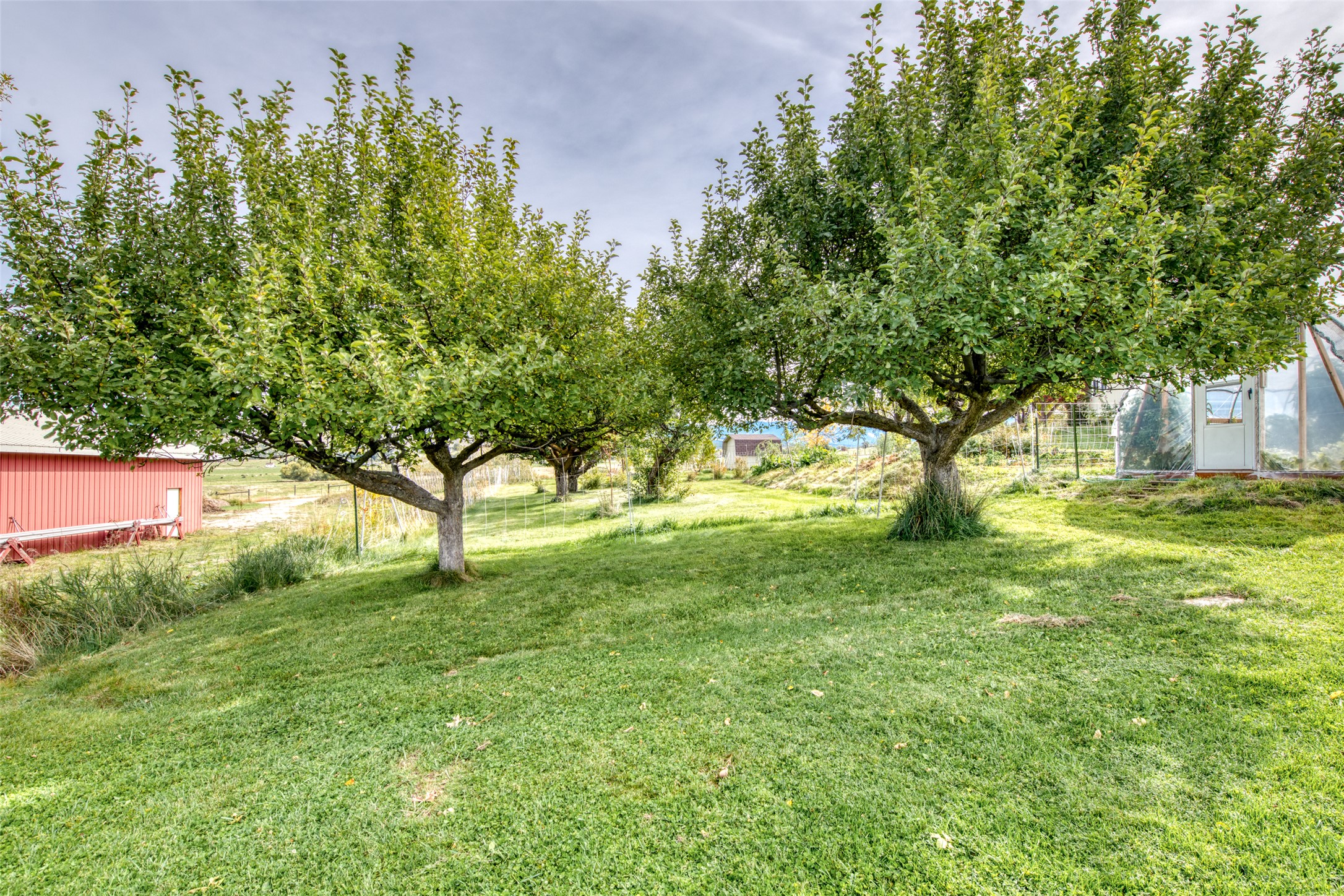 1435 & 1499 Holloran Lane