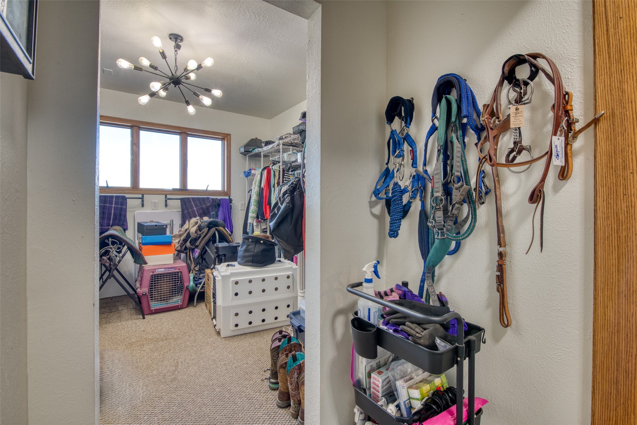 675 Warbler Lane