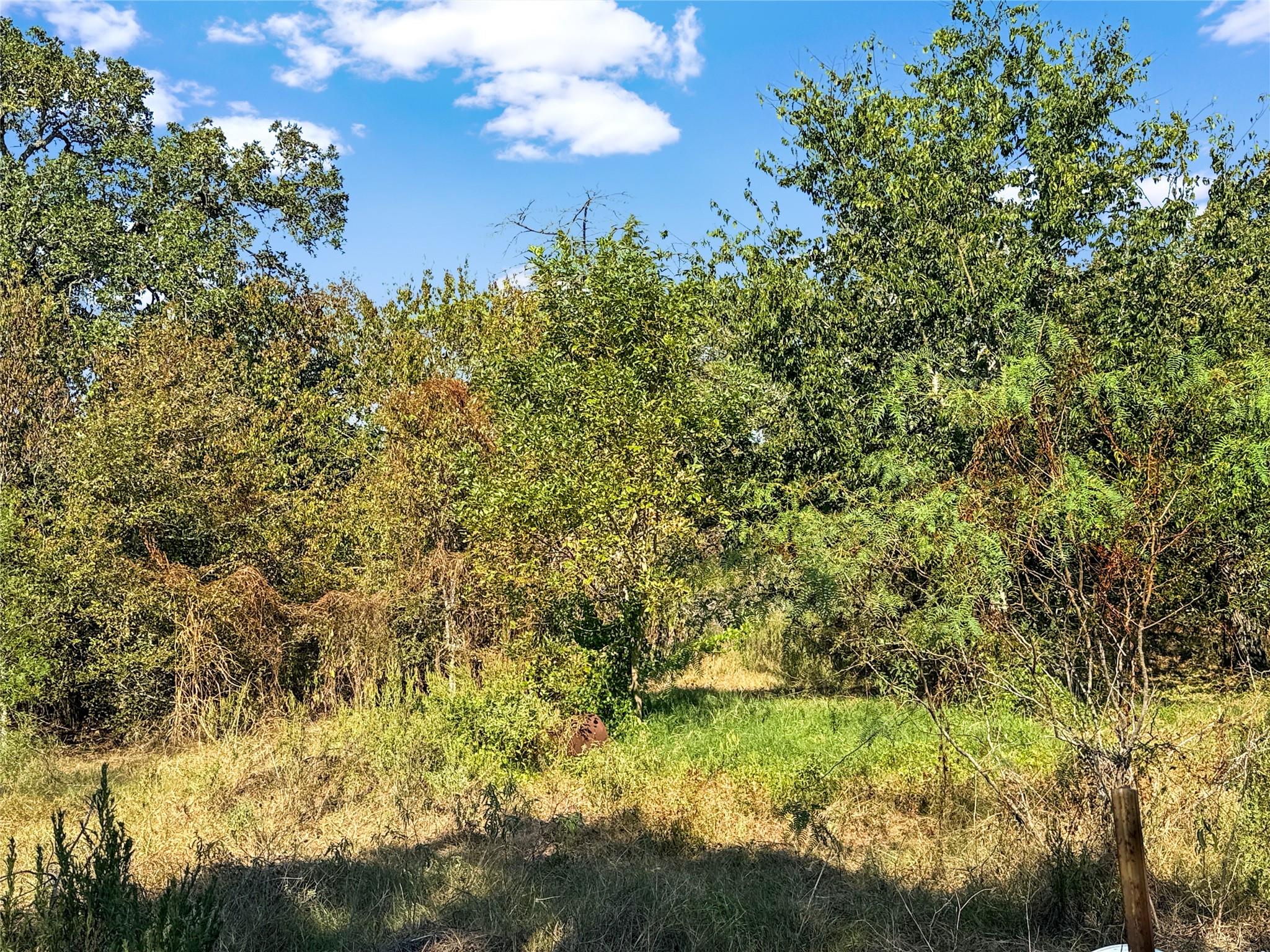 5108 Cowan Road