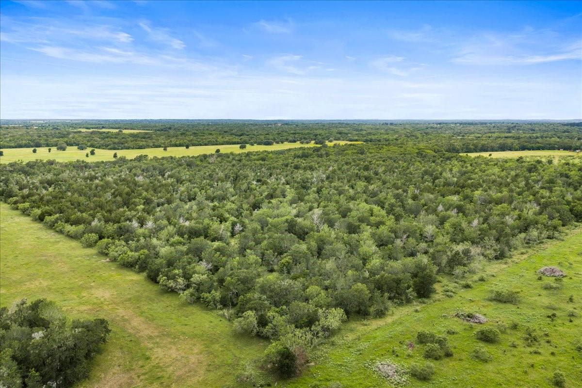 288 Charcoal Road