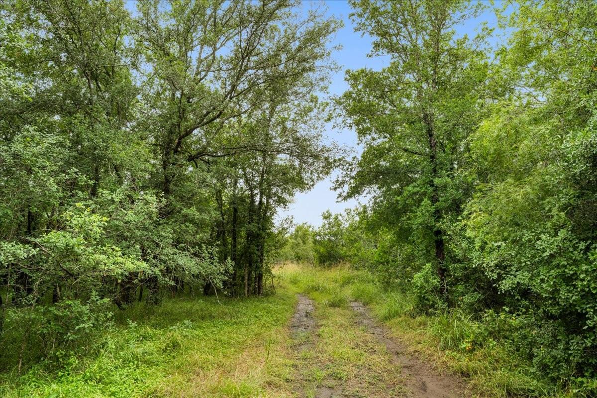 288 Charcoal Road