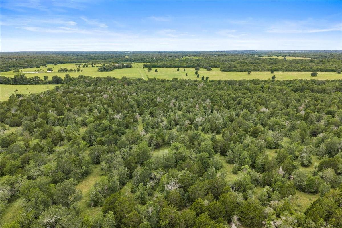 288 Charcoal Road