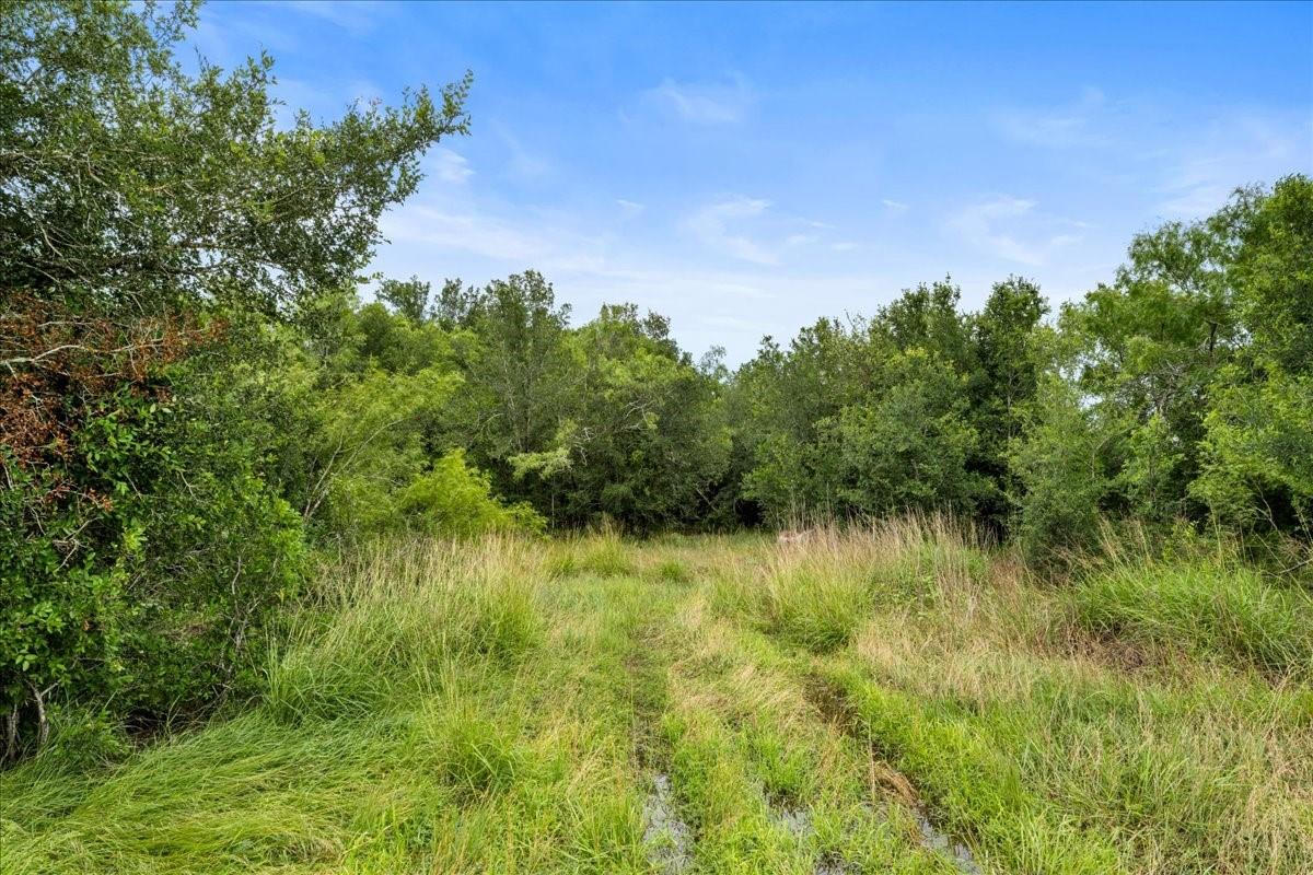 288 Charcoal Road