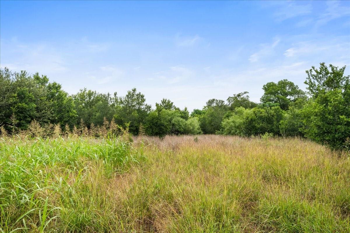 288 Charcoal Road