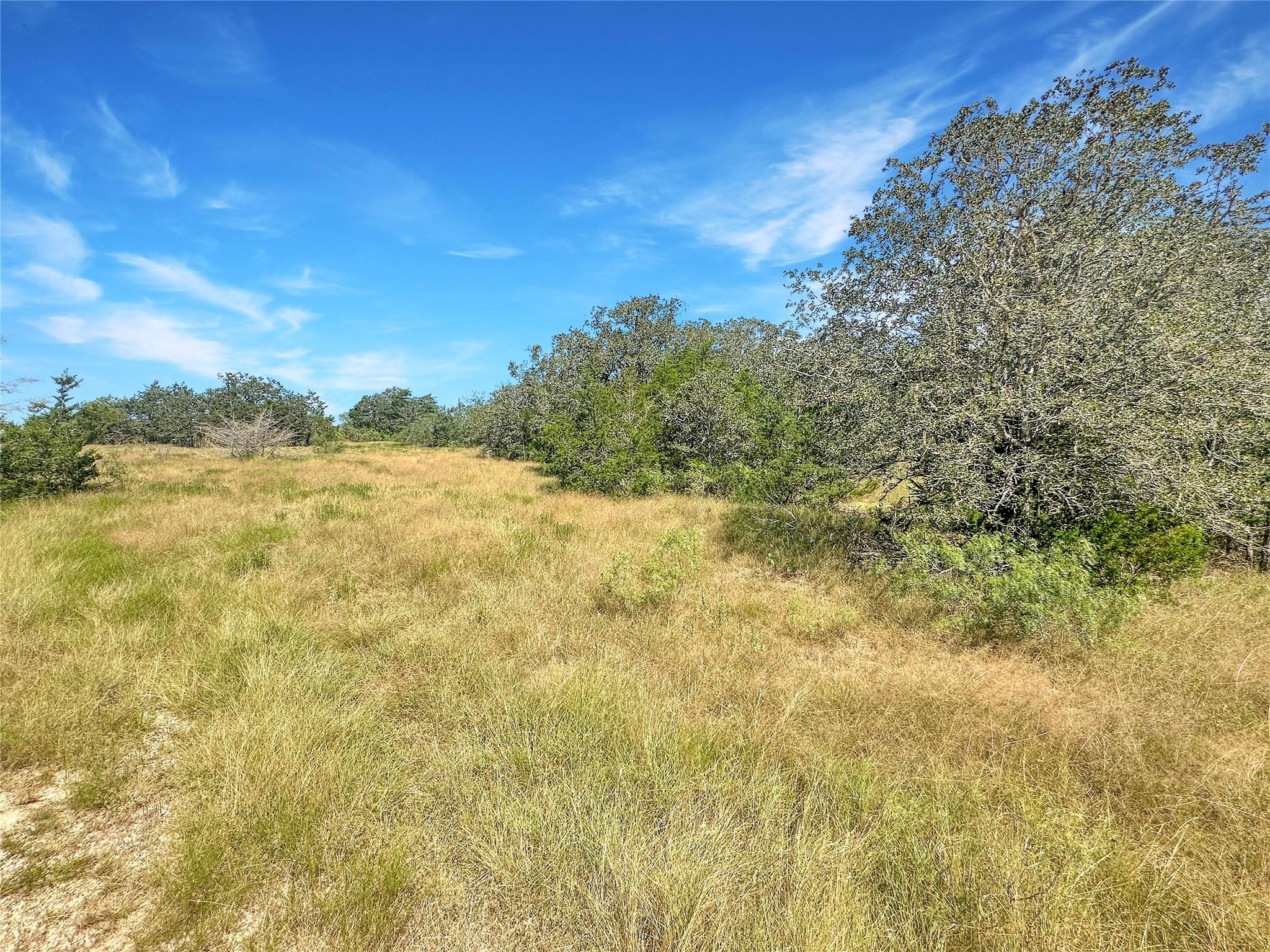 1345 Davis Road