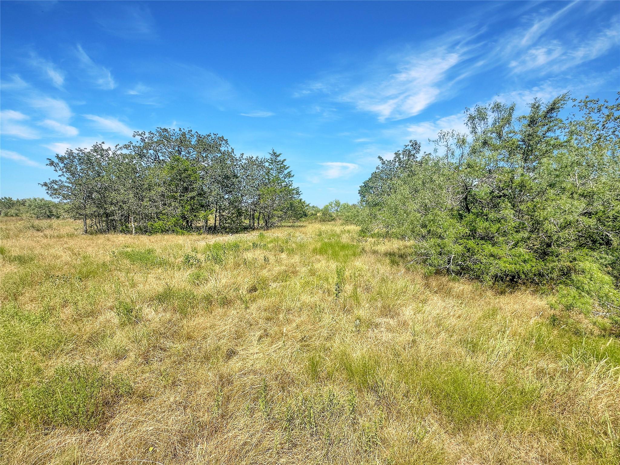 1345 Davis Road