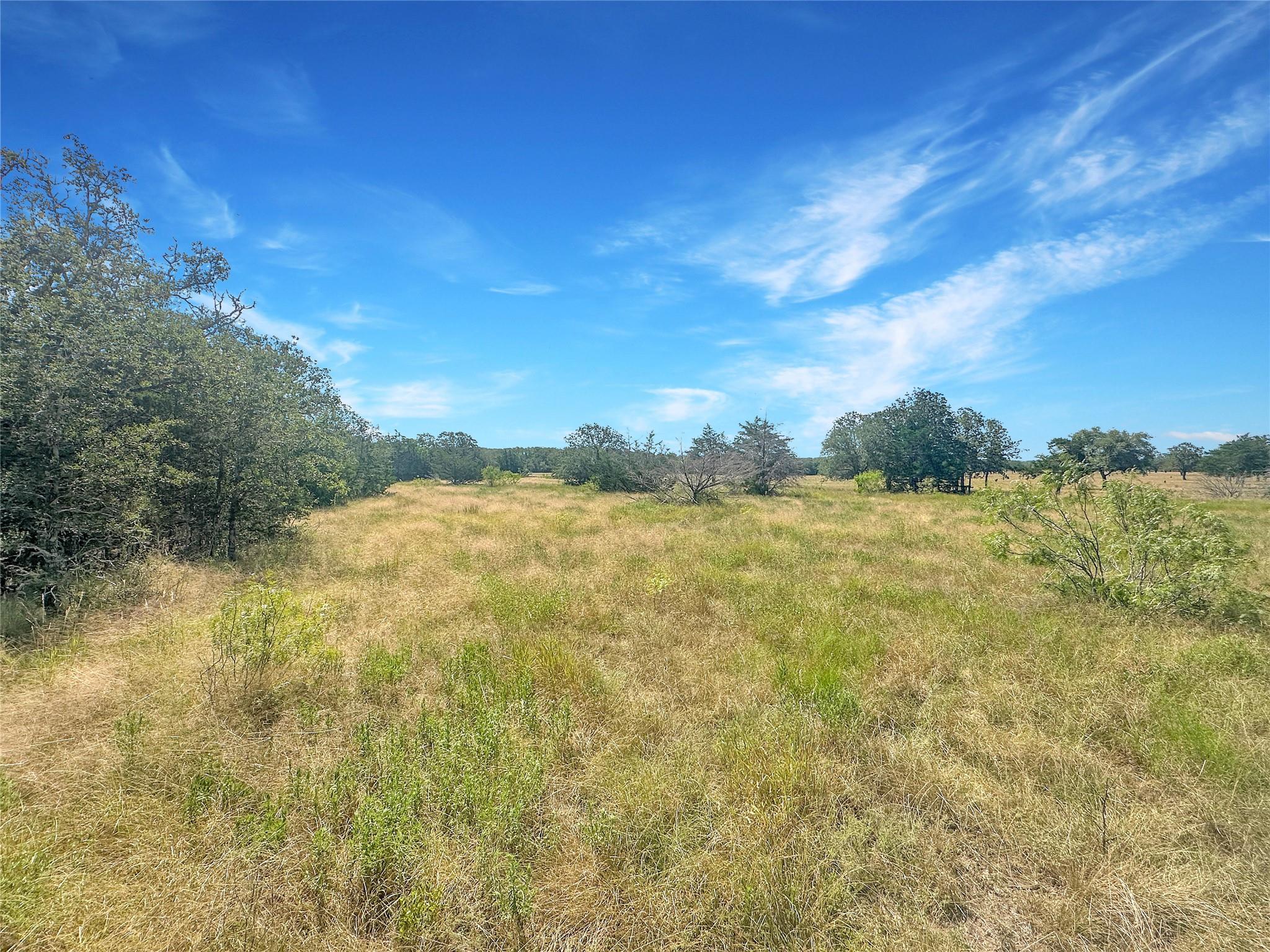 1345 Davis Road