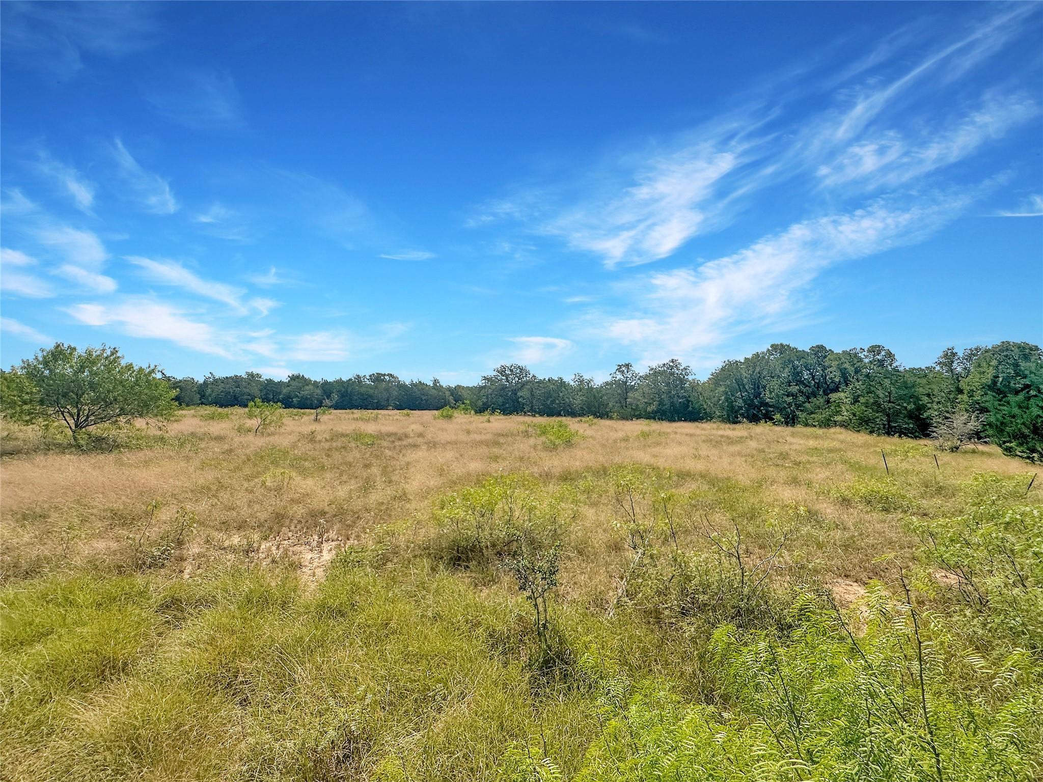 1345 Davis Road