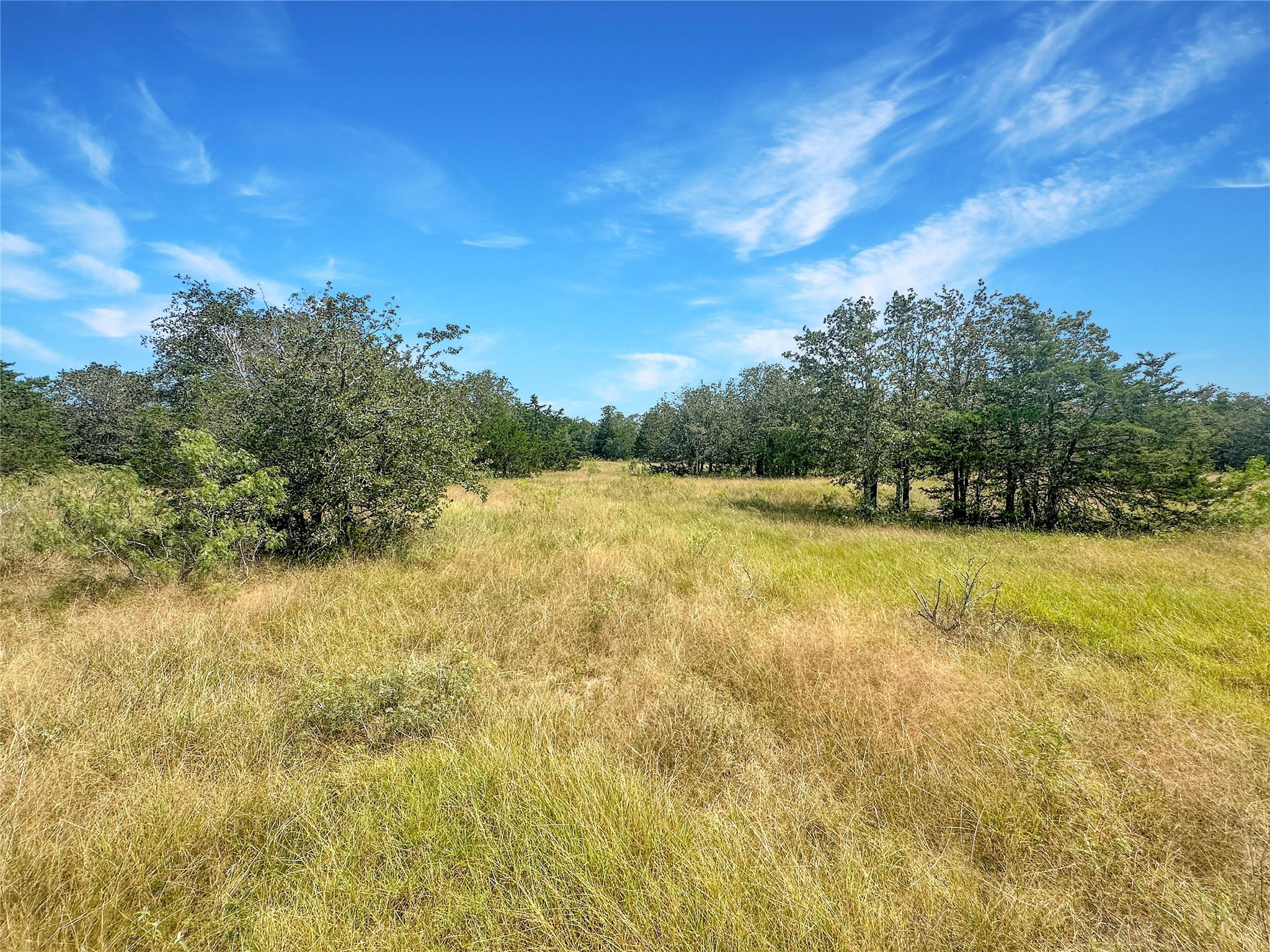 1345 Davis Road