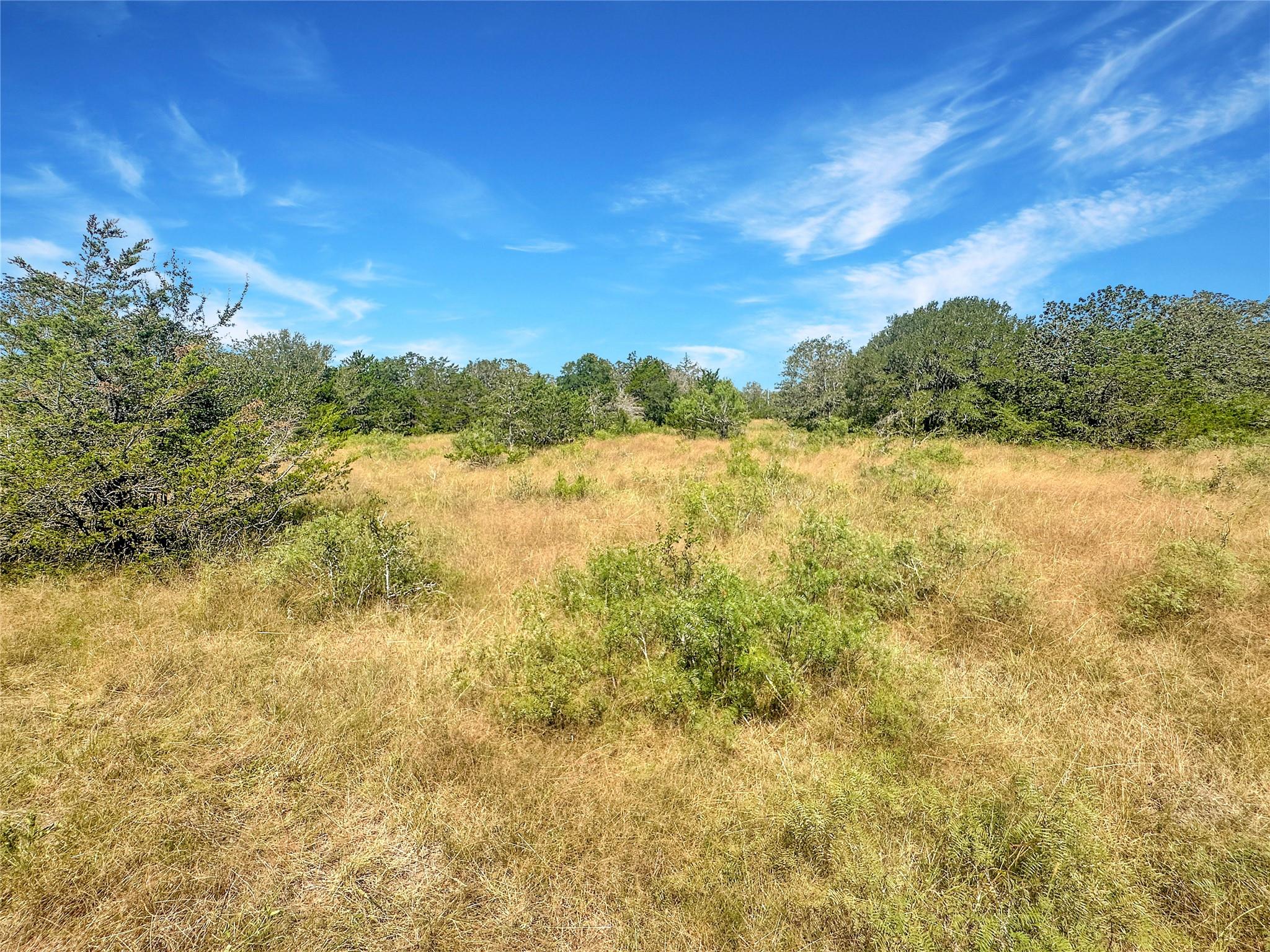 1345 Davis Road
