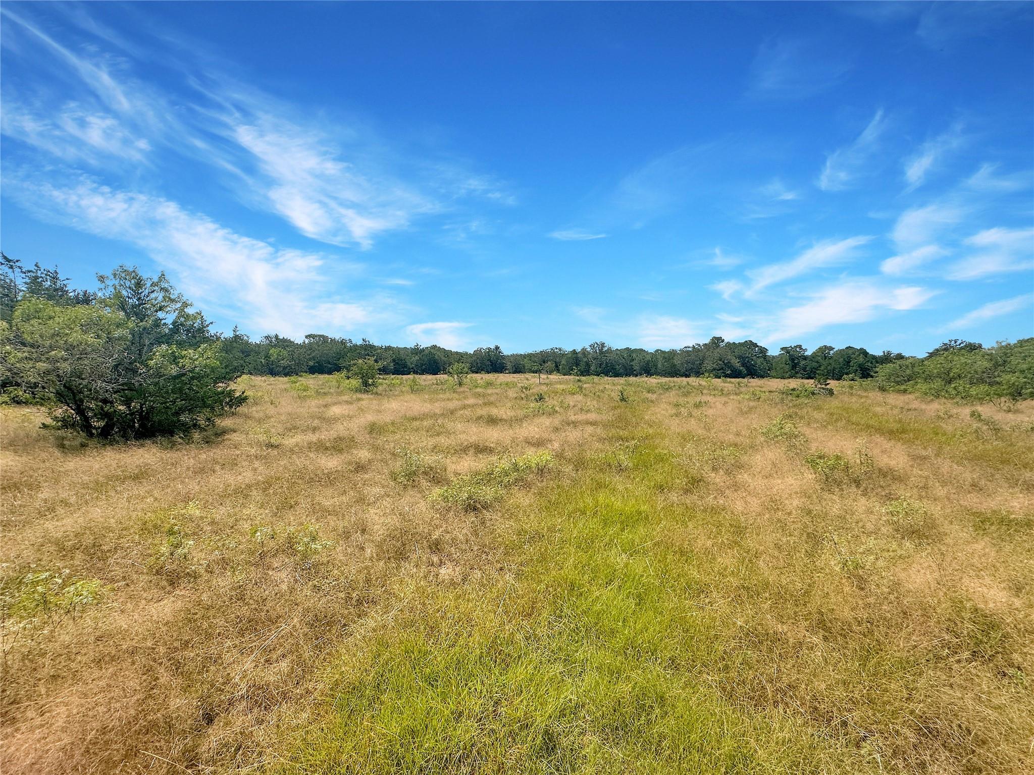 1345 Davis Road