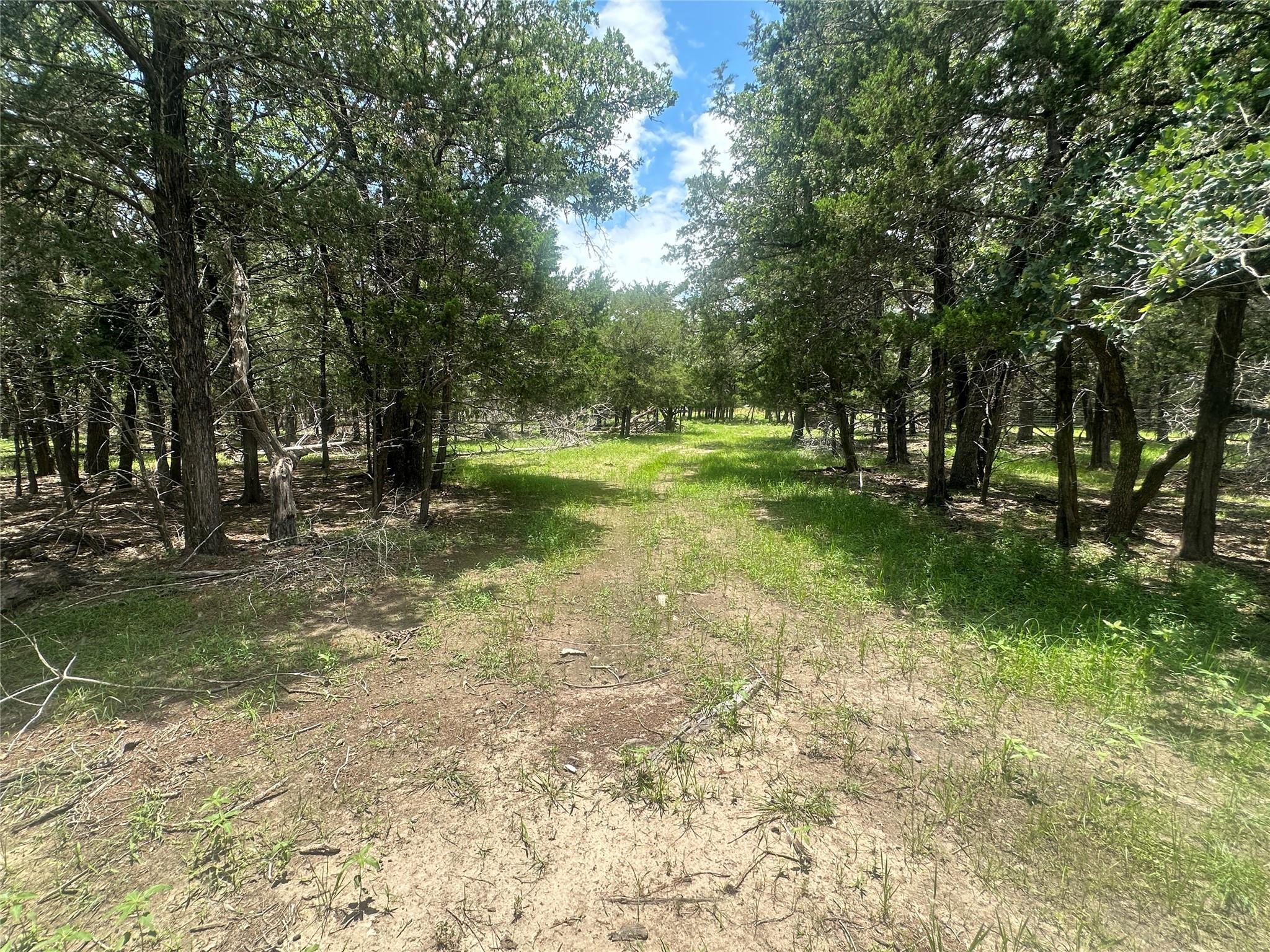 Wooded property with a grassy dirt path winding between mature trees.