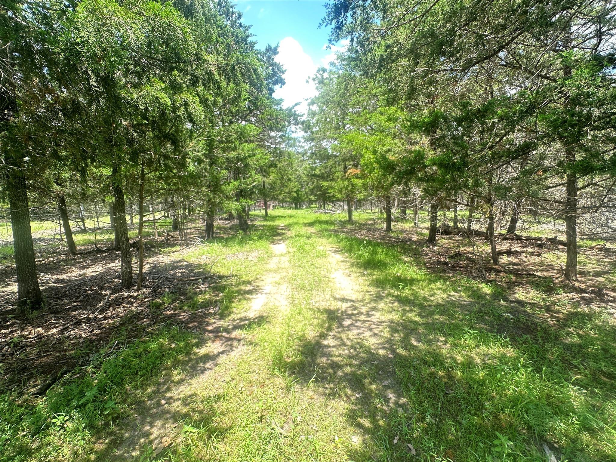 A grassy path winds through mature trees on the wooded property.