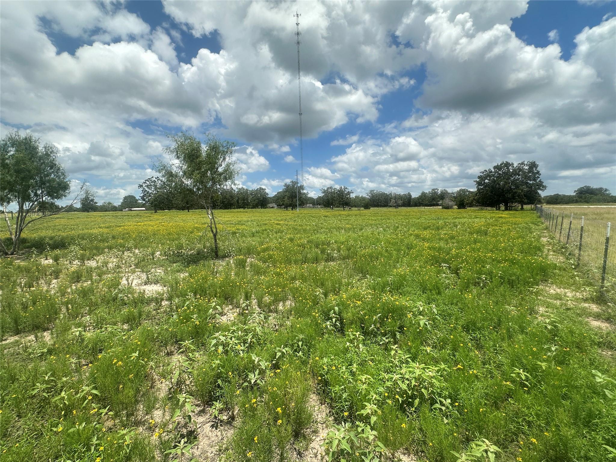 Grassy vacant land with yellow wildflowers, a wire fence, and a tall communications tower.