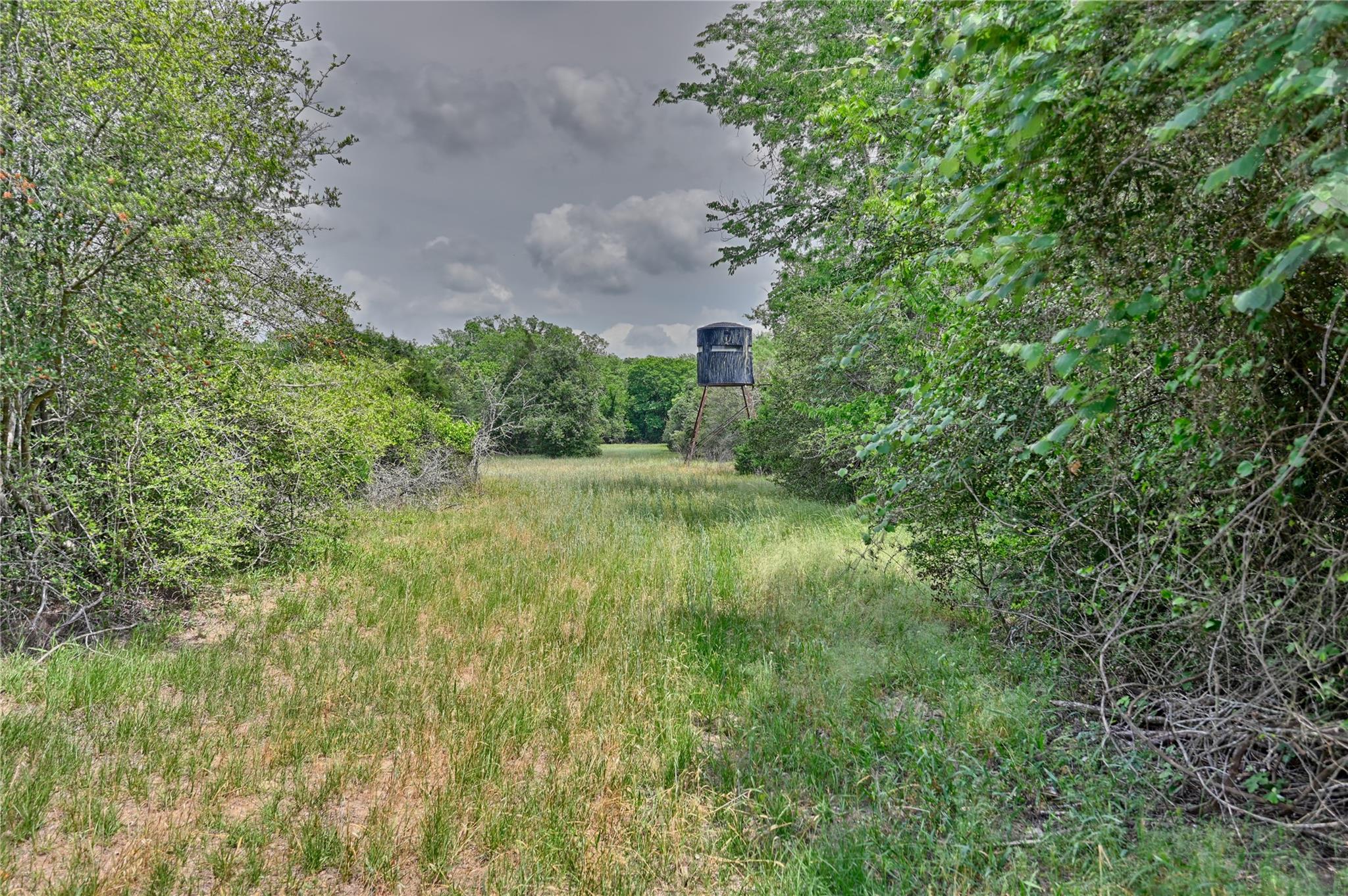1589 Jeddo Road