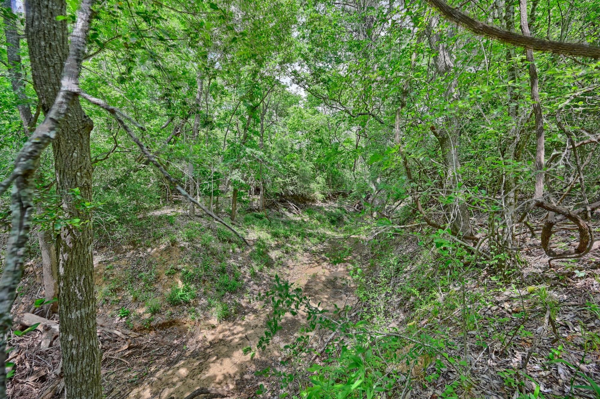 1589 Jeddo Road