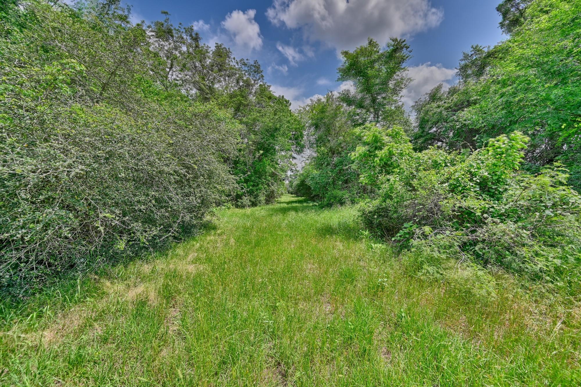 1589 Jeddo Road