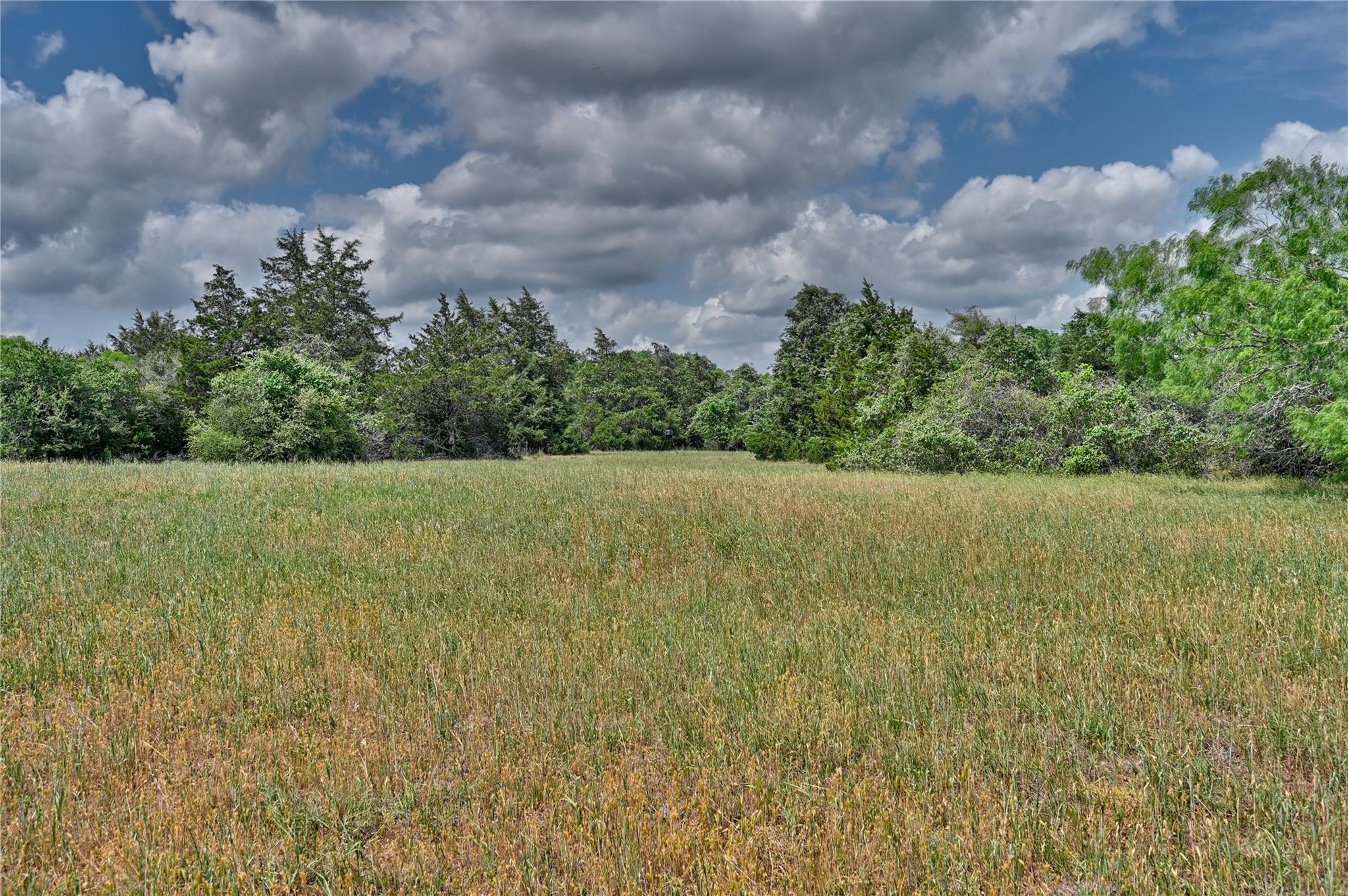 1589 Jeddo Road