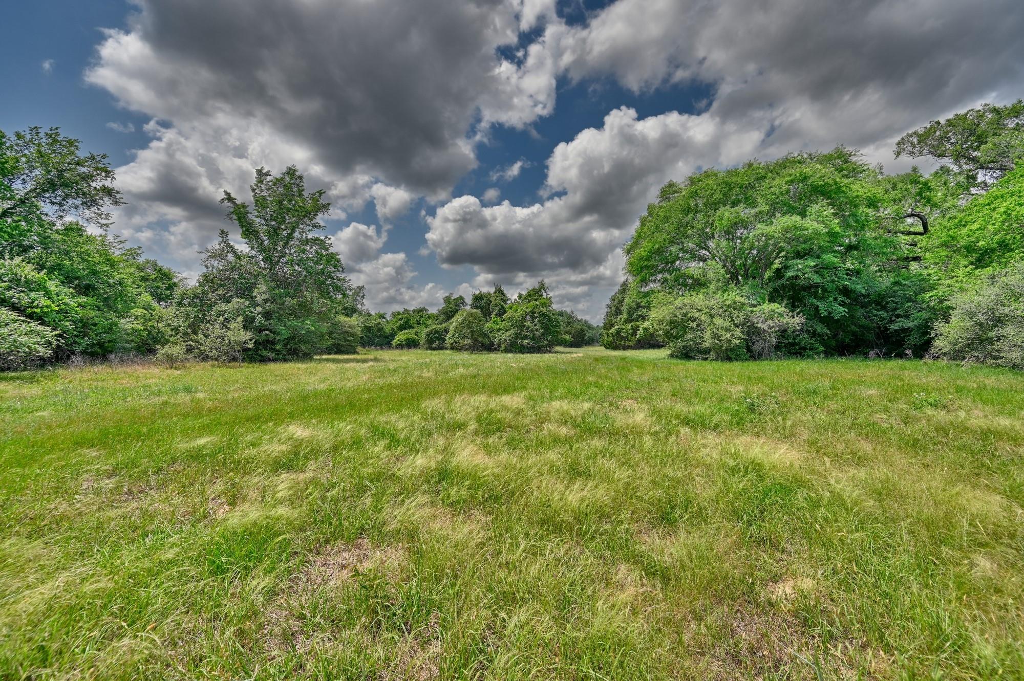 1589 Jeddo Road