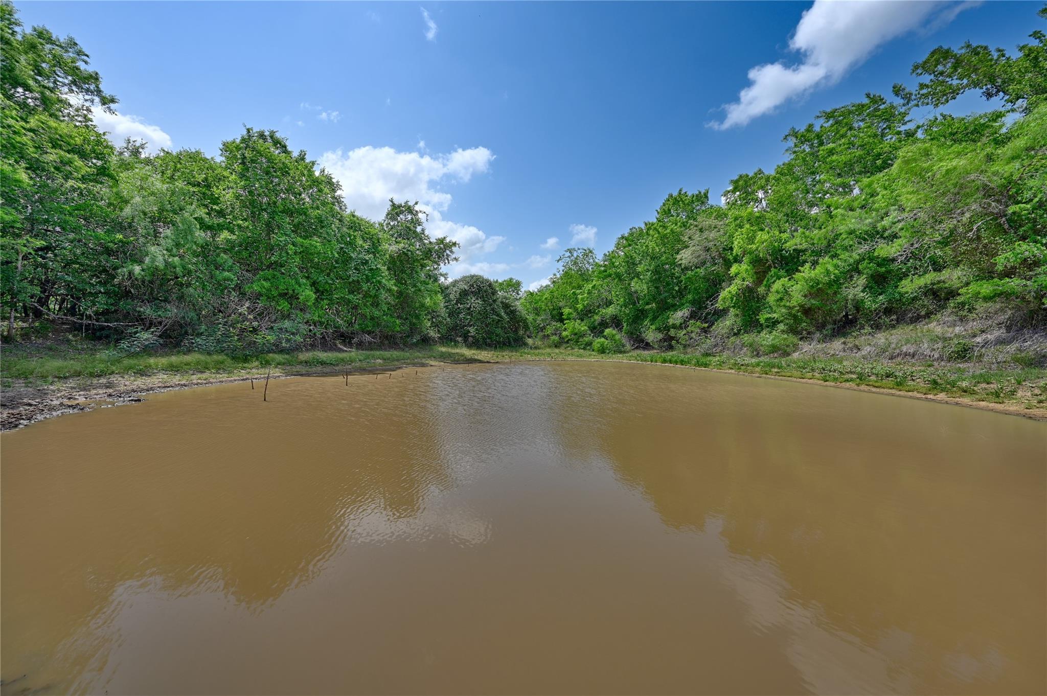 1589 Jeddo Road