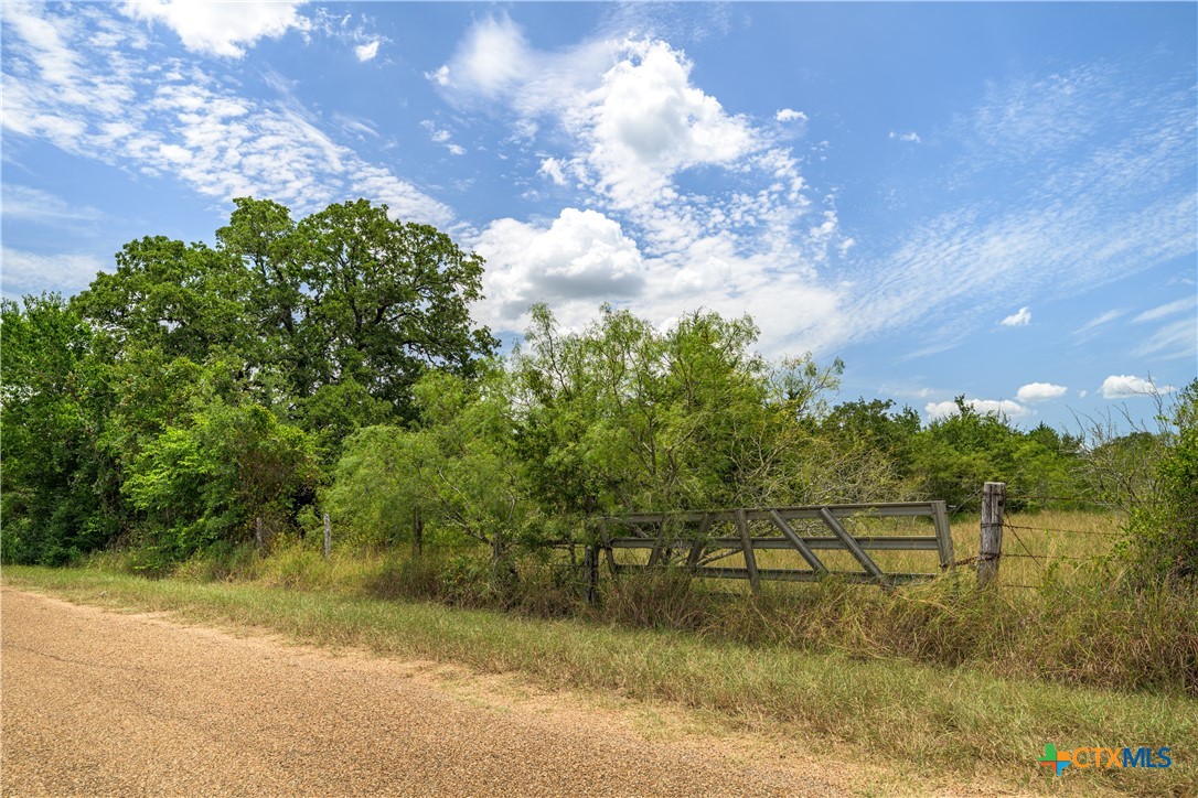 TBD Roy Road