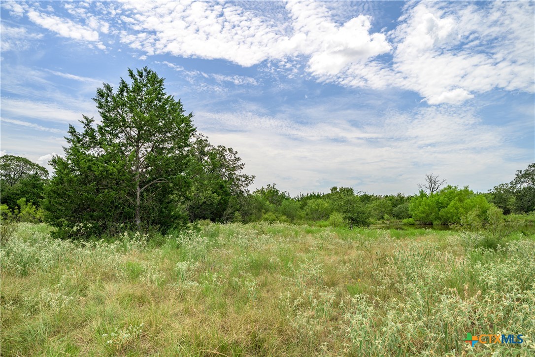 TBD Roy Road