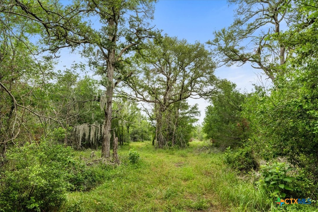 288 Charcoal Road