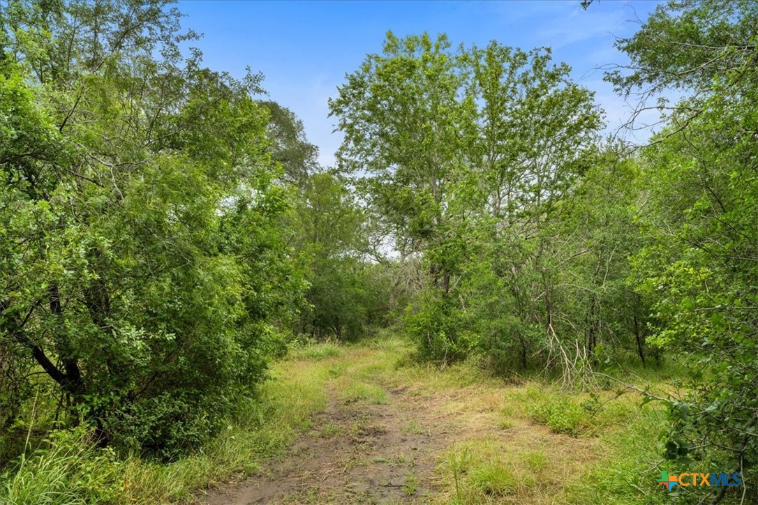 288 Charcoal Road