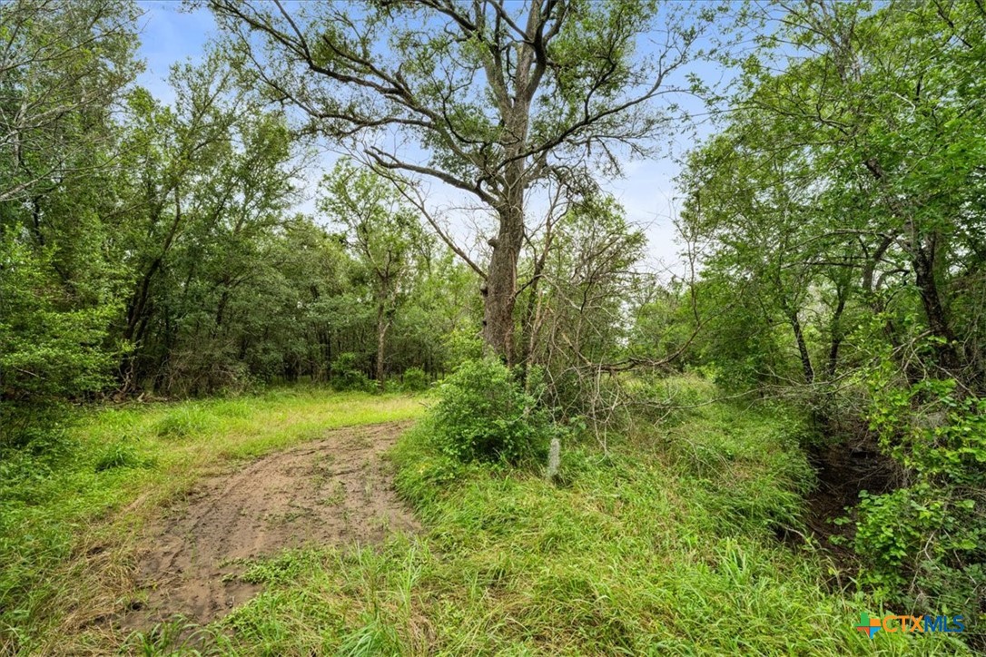 288 Charcoal Road