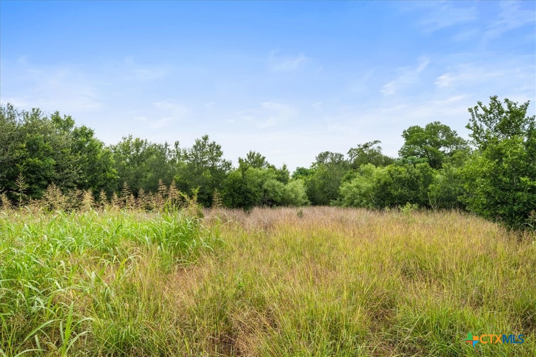 288 Charcoal Road