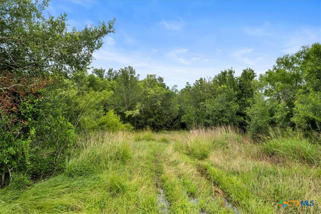 288 Charcoal Road