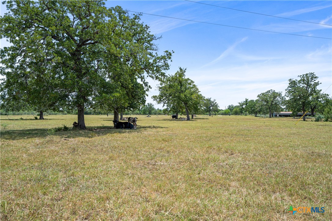 7135 Brown Road