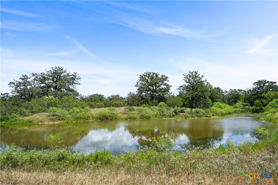 7135 Brown Road
