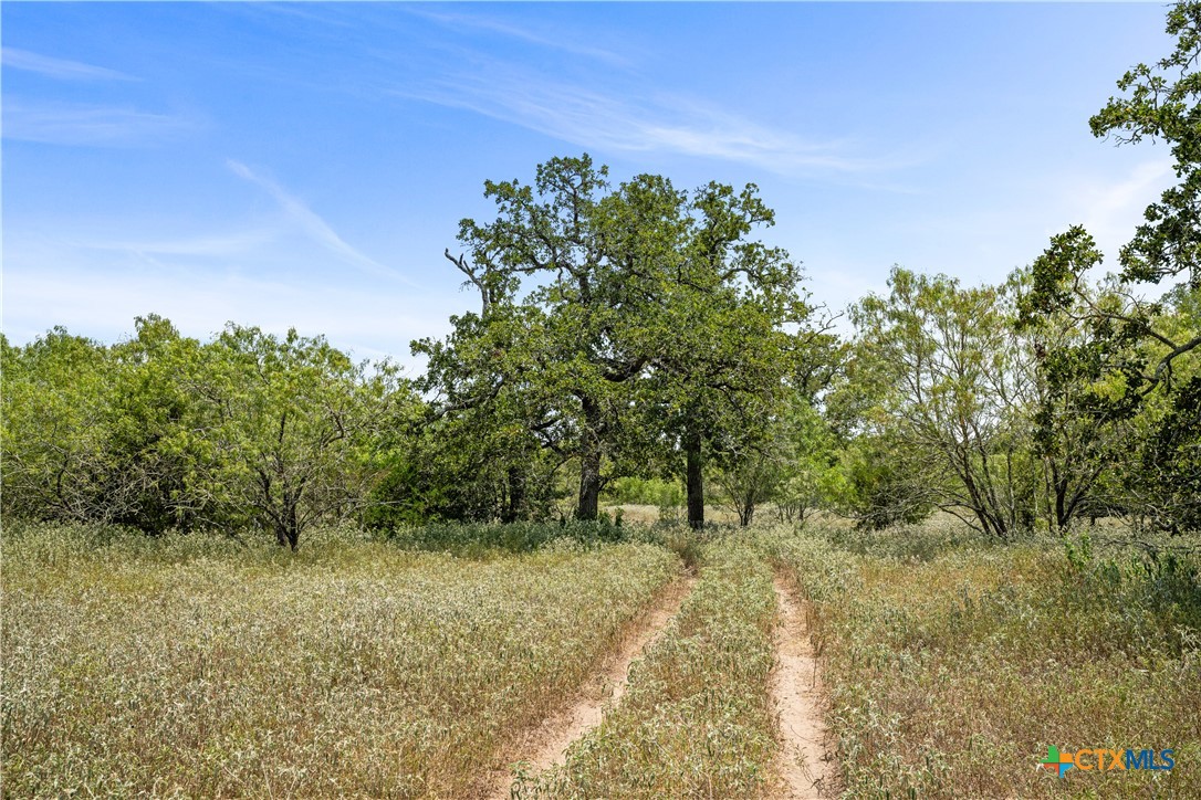 7135 Brown Road