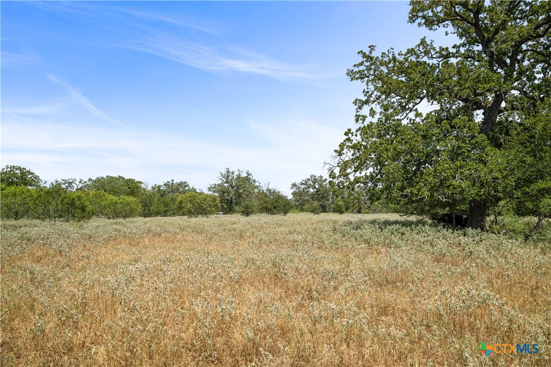 7135 Brown Road