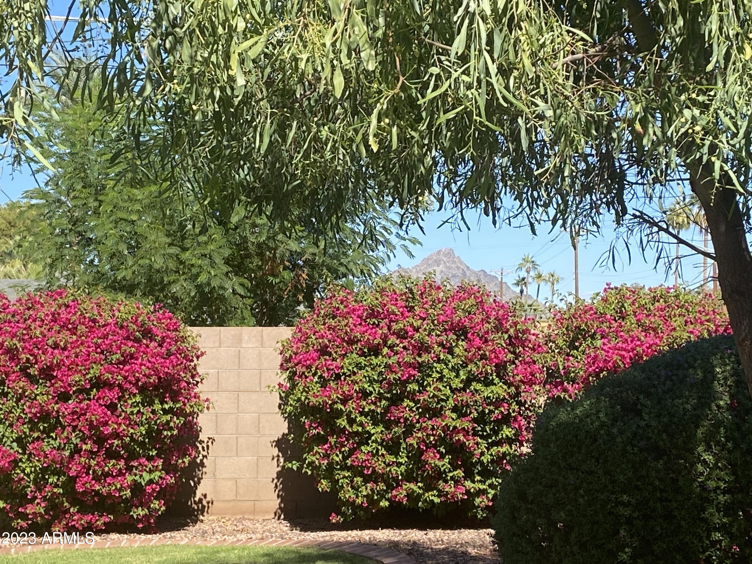 2546 E HEATHERBRAE Drive