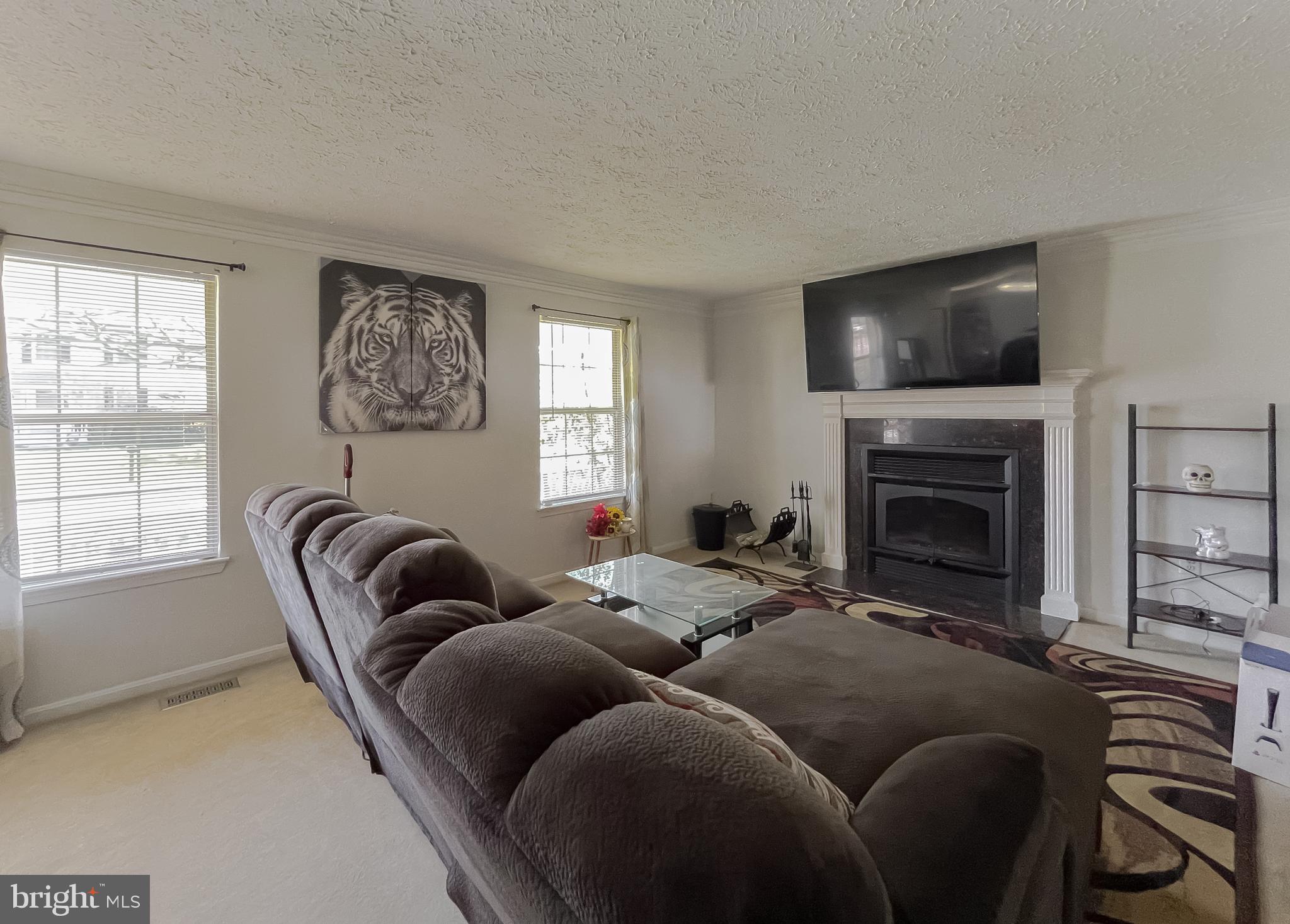 2411 SHADE OAK COURT