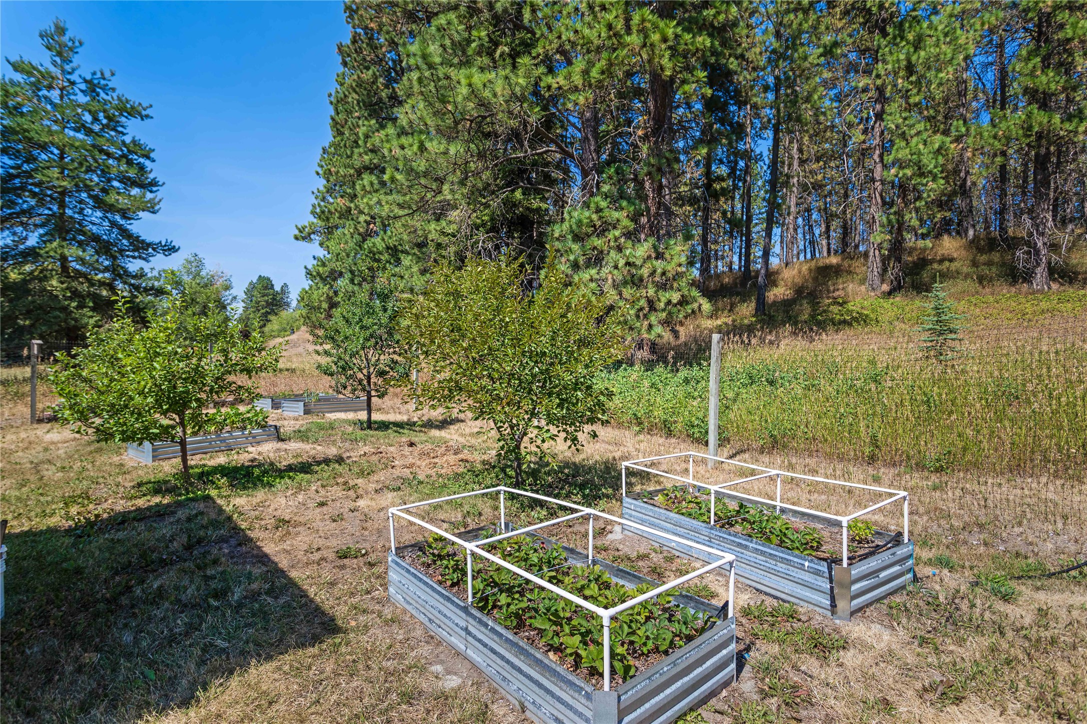 2953 Rufenach Lane