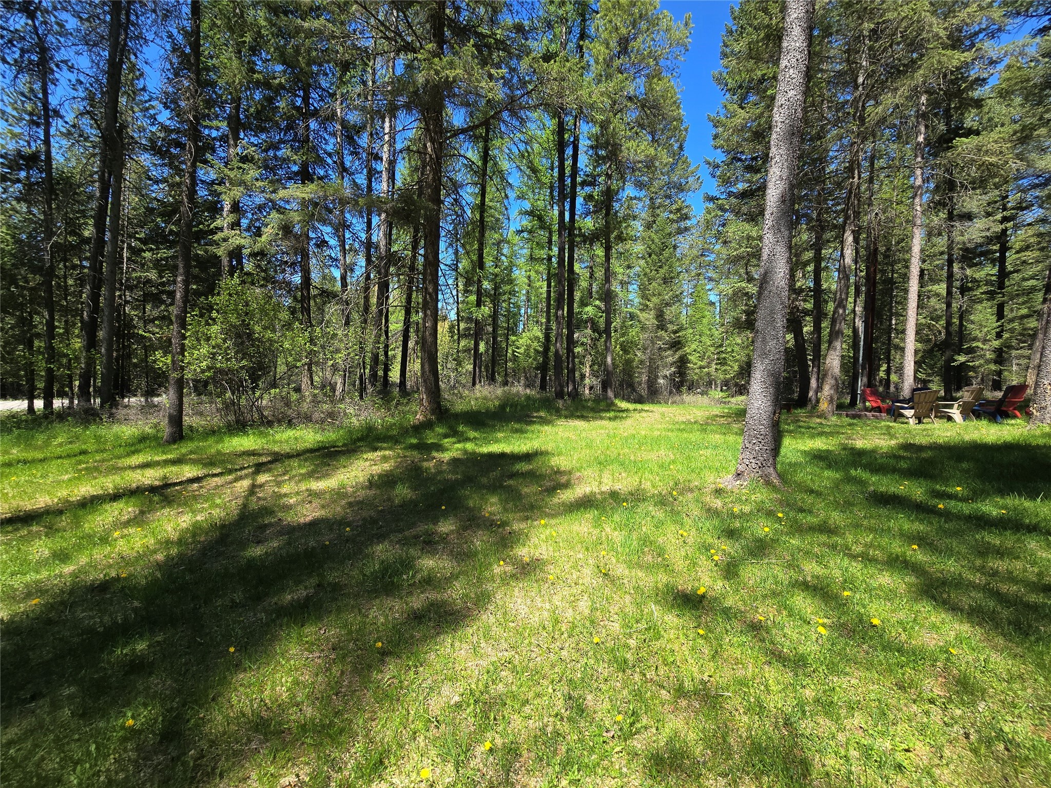 1709 Tamarack Lane