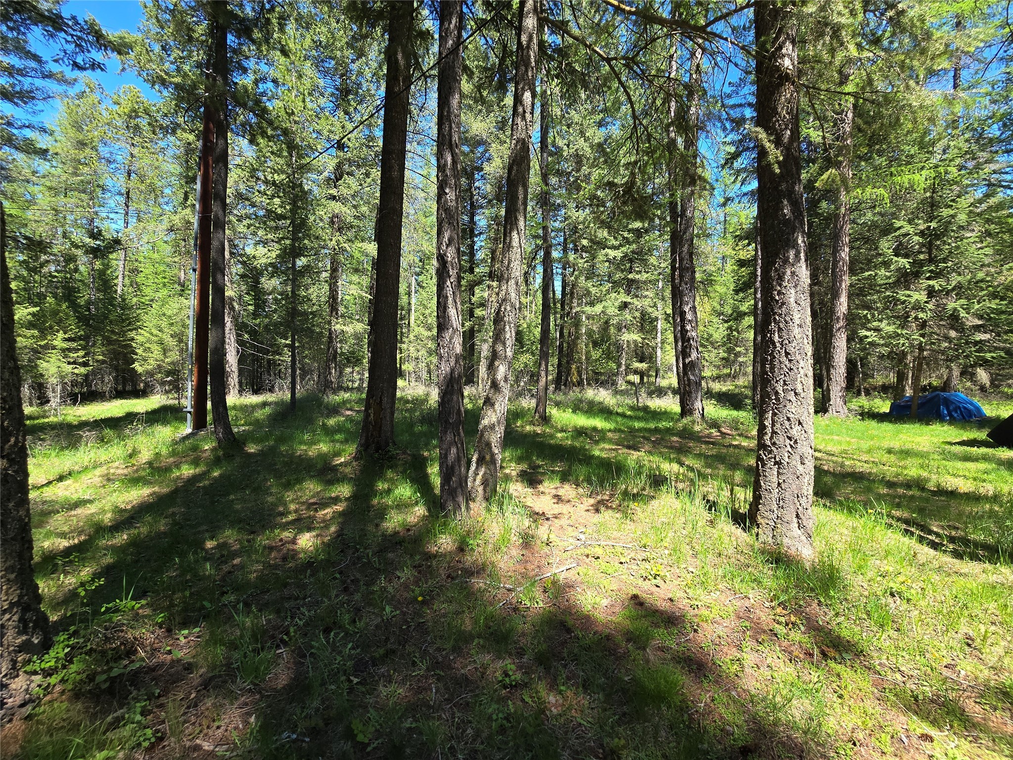 1709 Tamarack Lane