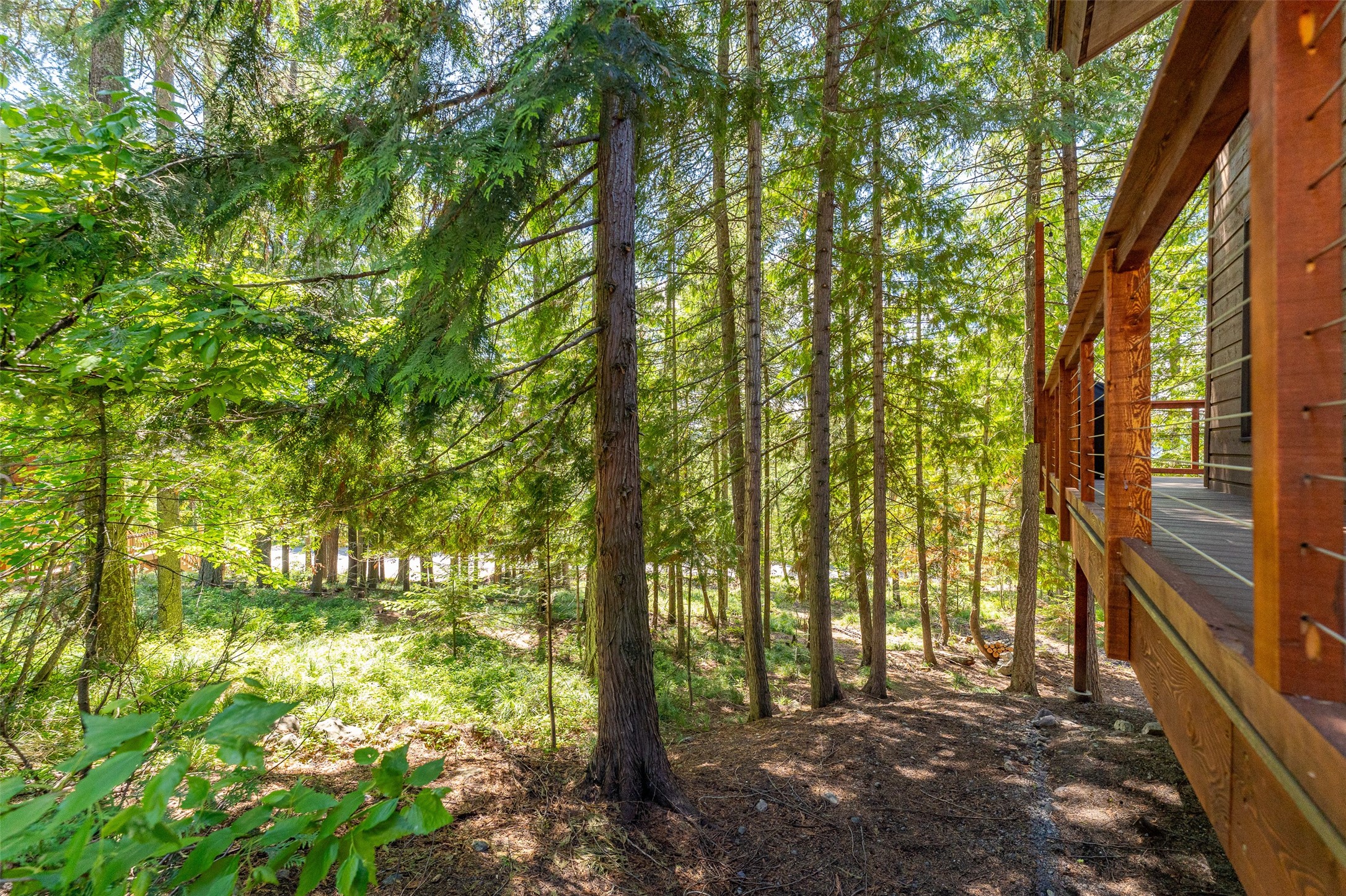 213 Tamarack Lane