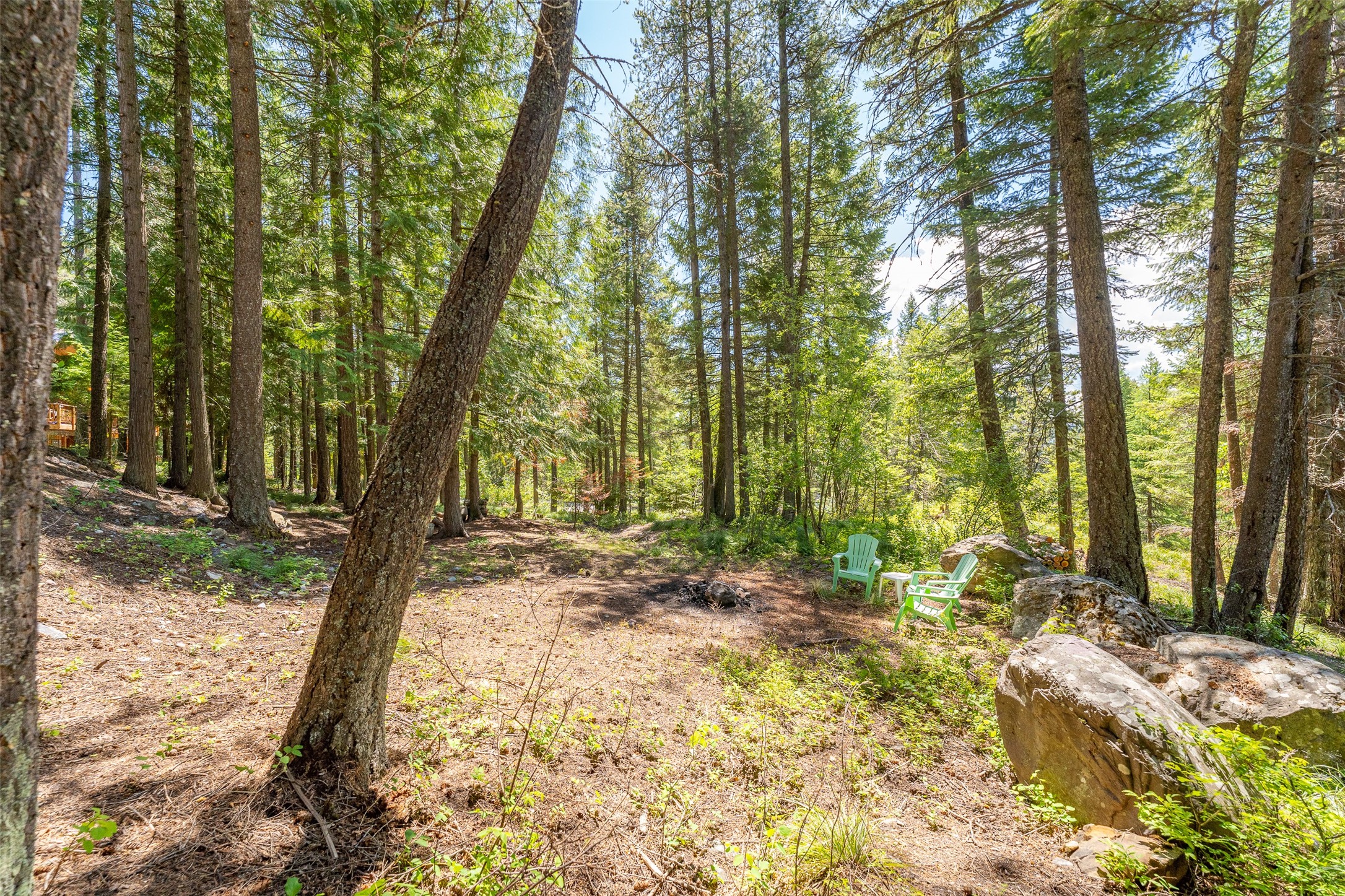 213 Tamarack Lane
