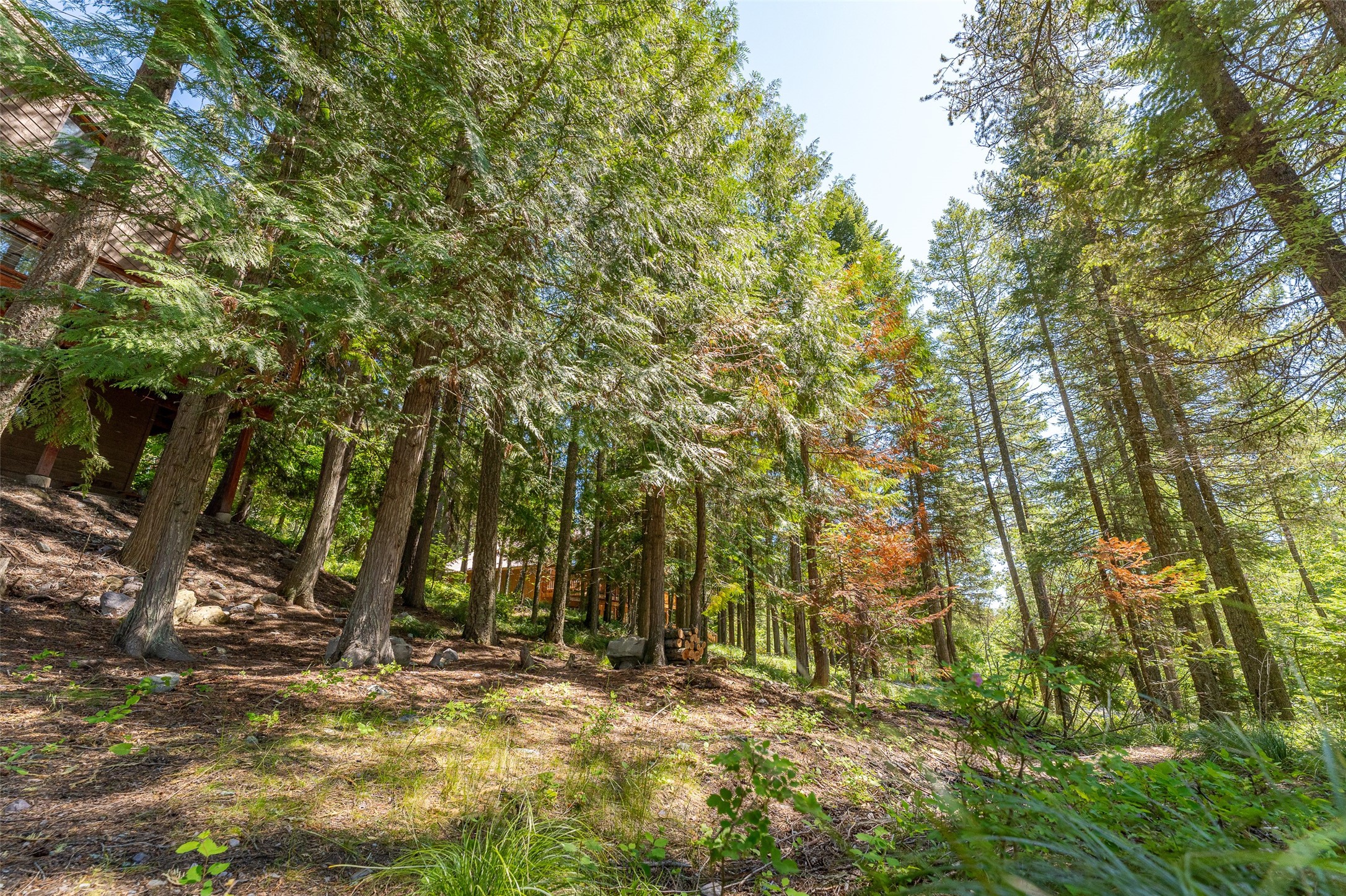 213 Tamarack Lane