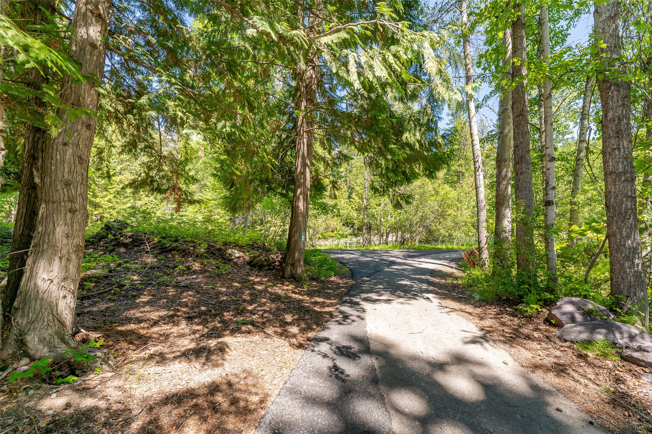 213 Tamarack Lane