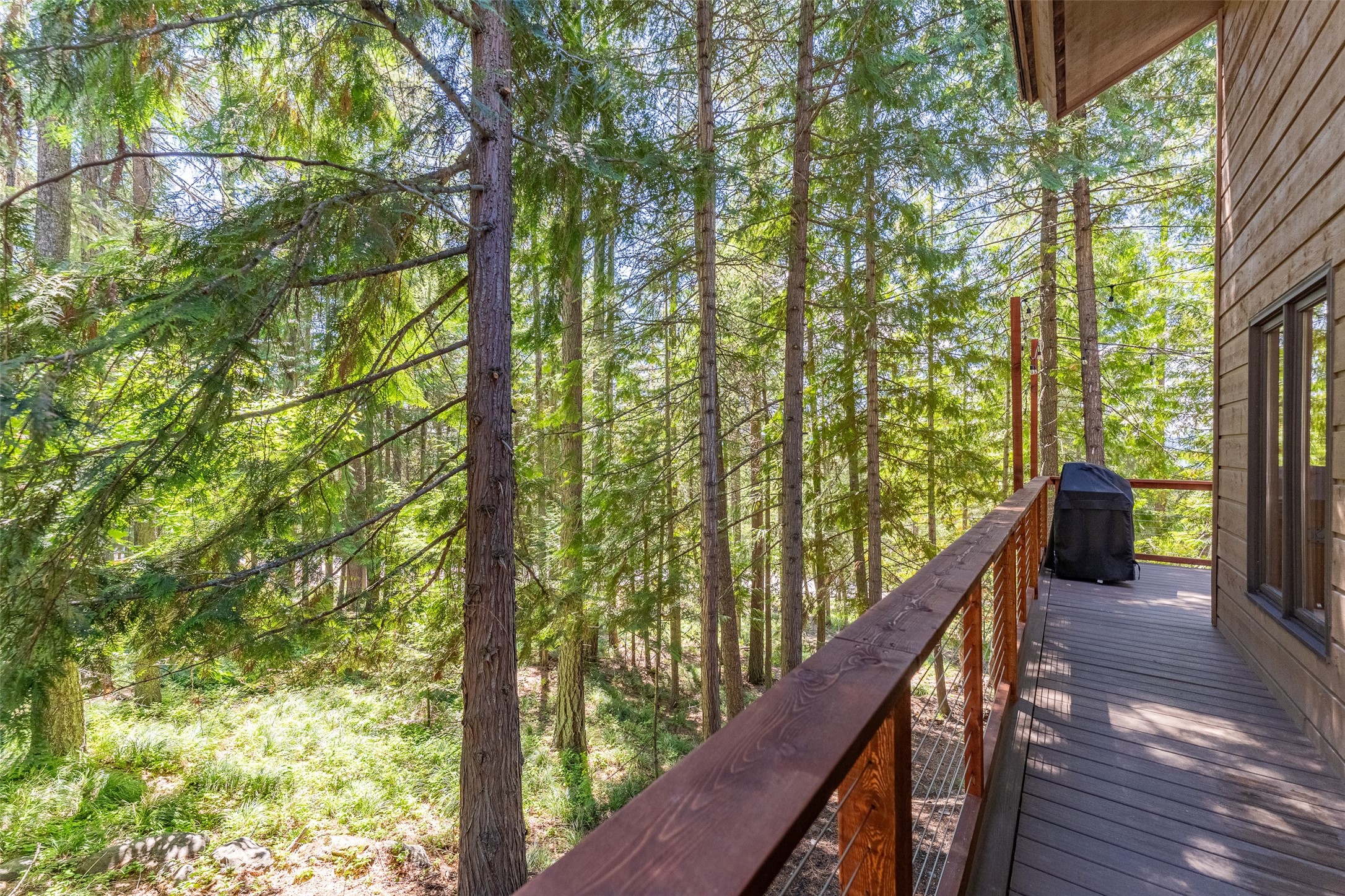 213 Tamarack Lane