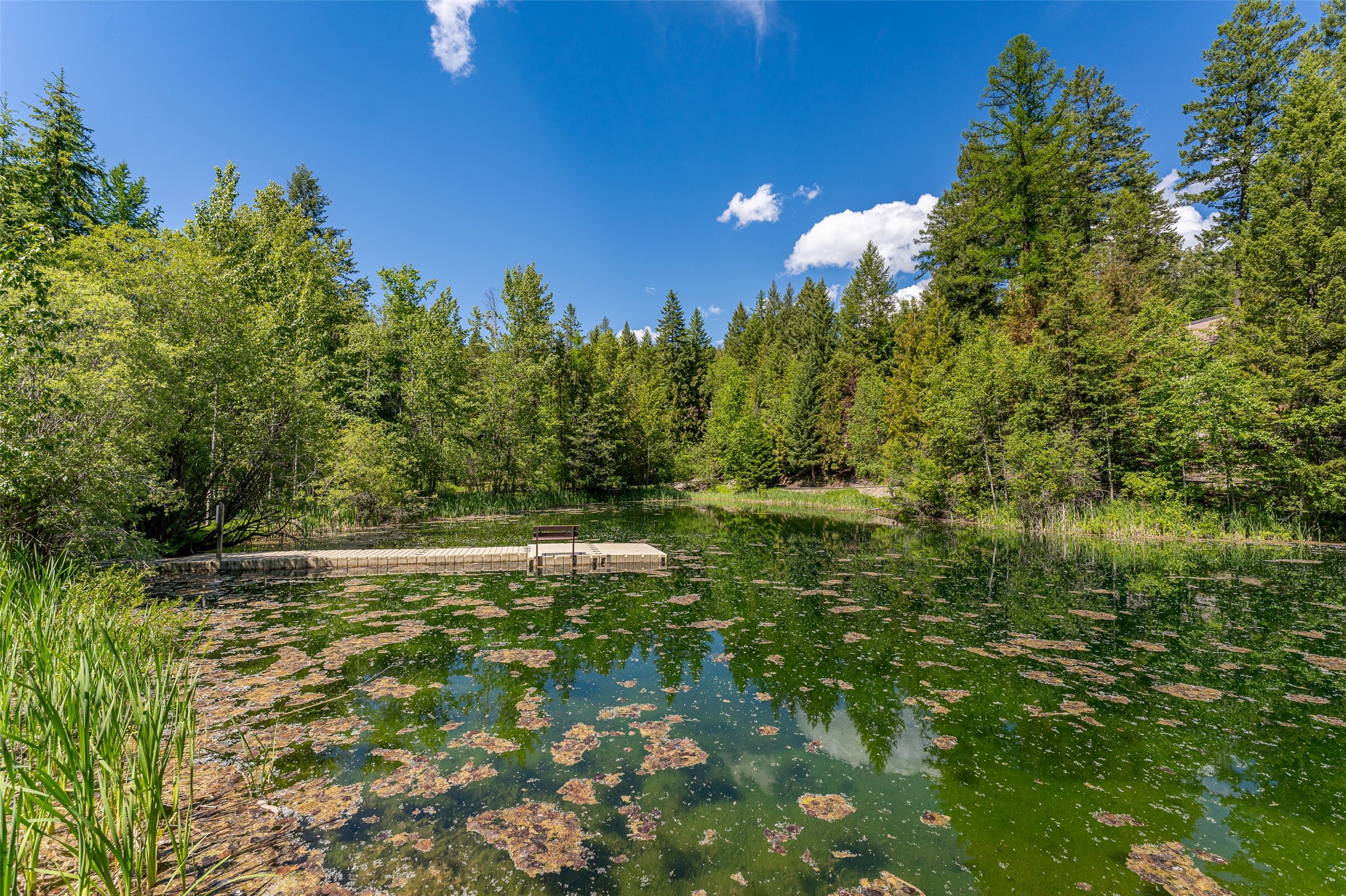 213 Tamarack Lane
